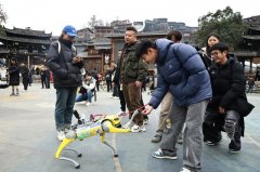 多高科技元素和文化体验项目
